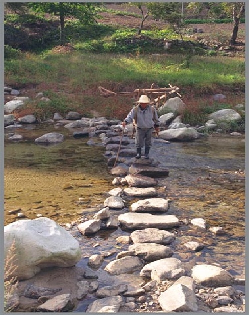 ½ÇÁ¦Å©±â·Î º¸±â